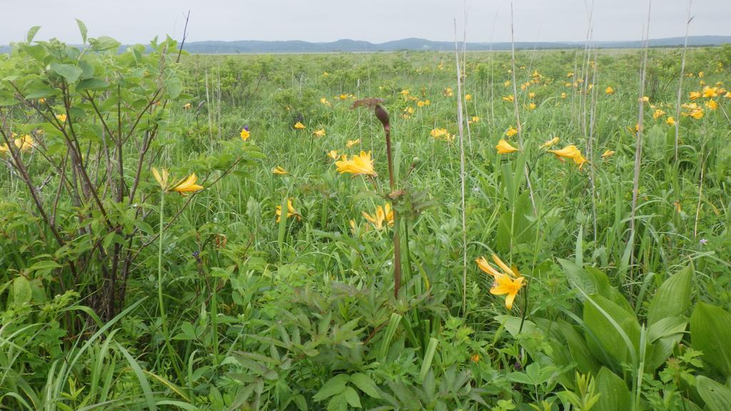 Kiritappuri Konuk evi Hokkaido Dış mekan fotoğraf